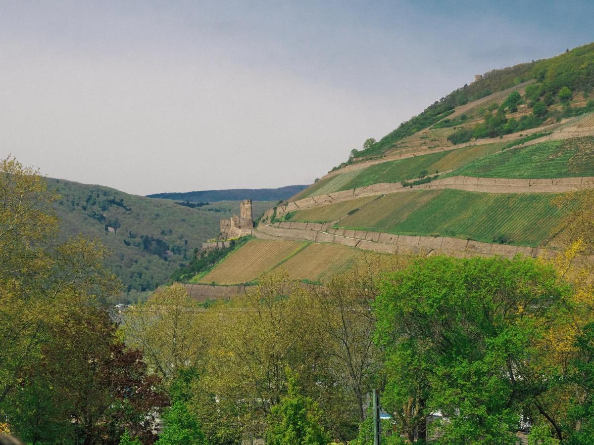 Rheinufer Am Hindenburgpark Apartment Bingen am Rhein Luaran gambar