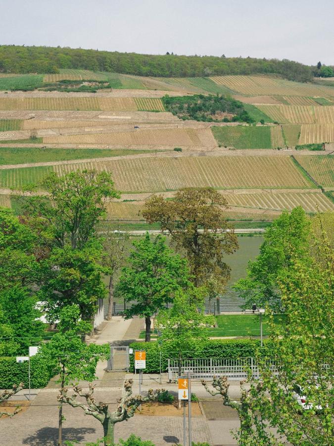 Rheinufer Am Hindenburgpark Apartment Bingen am Rhein Luaran gambar